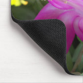 kerstcactus bloei muismat (Hoek)