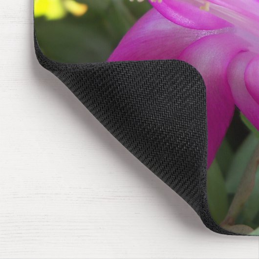 kerstcactus bloei muismat (Hoek)