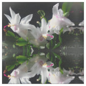 Kerstcactus Bloem Stof (Close Up)