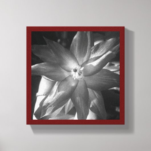 kerstcactus canvas afdruk (Voorkant)