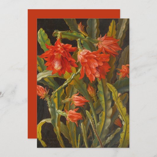 kerstcactus | Christelijk Möllback Feestdagenkaart (Voorkant / Achterkant)