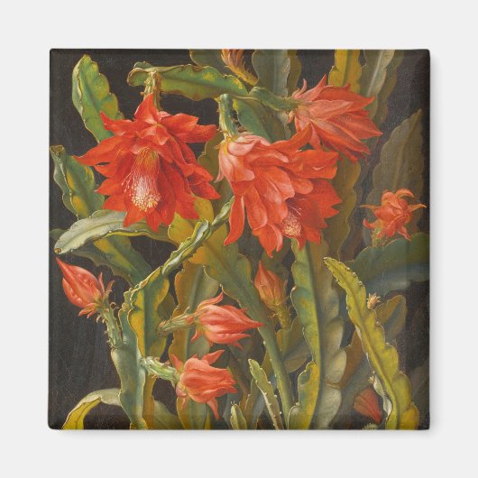 kerstcactus | Christelijk Möllback Magneet (Voorkant)