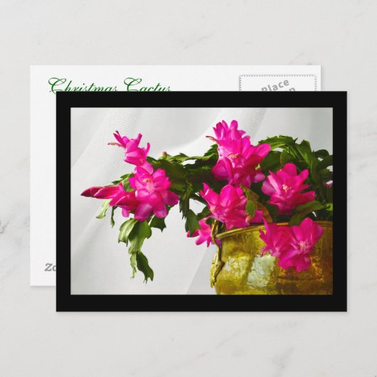Kerstcactus close-up feestdagenkaart (Voorkant / Achterkant)