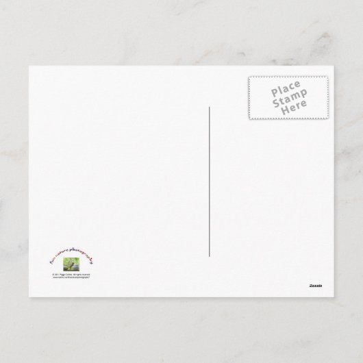 Kerstcactus Feestdagenkaart (Achterkant)