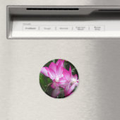 kerstcactus Flowers Magnet (Insitu (Vaatwasser))