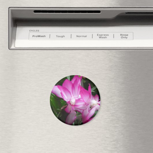 kerstcactus Flowers Magnet (Insitu (Vaatwasser))