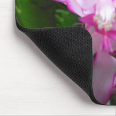 Kerstcactus Flowers Mousepad Muismat (Hoek)