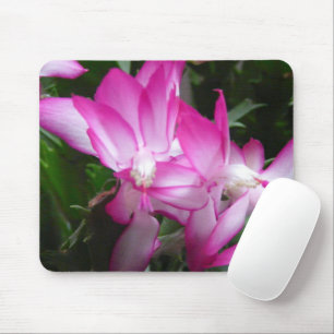 Kerstcactus Flowers Mousepad Muismat