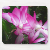 Kerstcactus Flowers Mousepad Muismat (Voorkant)