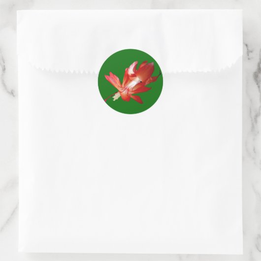 Kerstcactus Kerst-kerstserie Ronde Sticker (Tas)