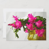 Kerstcactus Kruitfotografie Kaart (Voorkant)