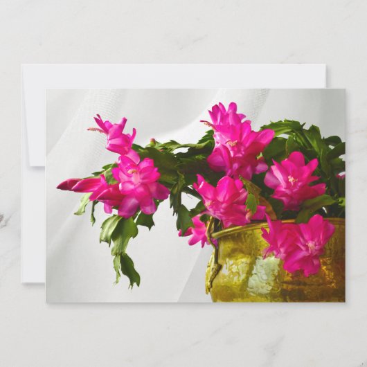 Kerstcactus Kruitfotografie Kaart (Voorkant)