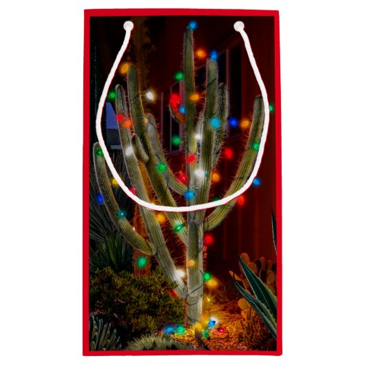Kerstcactus met gloeilichten klein cadeauzakje (Achterkant)