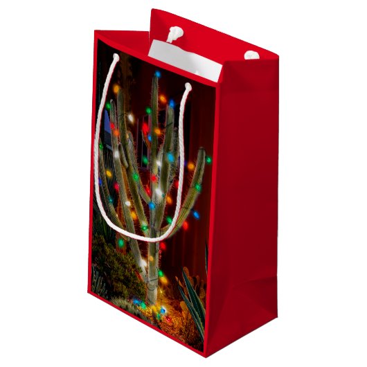 Kerstcactus met gloeilichten klein cadeauzakje (Achterkant Gekanteld)