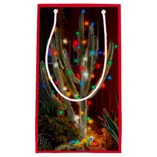 Kerstcactus met gloeilichten klein cadeauzakje (Voorkant)