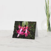 Kerstcactus notecard feestdagen kaart (Voorkant)