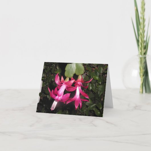 Kerstcactus notecard feestdagen kaart (Voorkant)