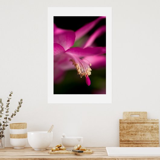 Kerstcactus Poster (Keuken)