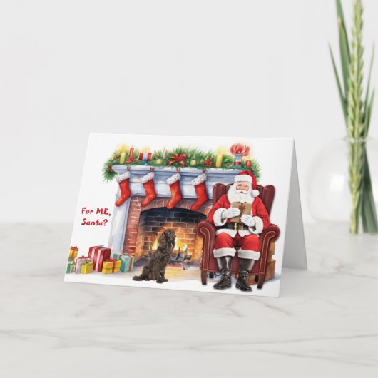 Kerstcadeau Boykin Spaniel hond Kerstmis Feestdagen Kaart (Voorkant)
