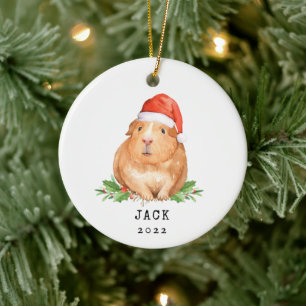 kerstcadeau Dierenvriend voor kerstcadeautjes Keramisch Ornament