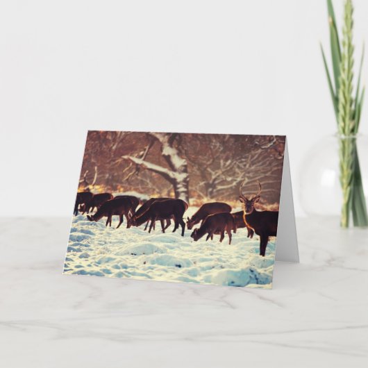 kerstcadeau feestdagen kaart (Voorkant)