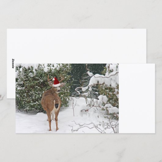 kerstcadeau feestdagenkaart (Voorkant / Achterkant)