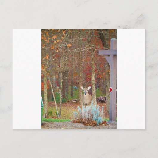 kerstcadeau feestdagenkaart (Voorkant)