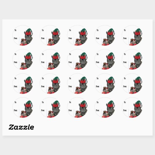 kerstcadeau label stickers met kerstcadeau (Vel)