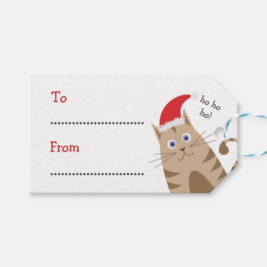 Kerstcadeau labels naam sint kat ho ho ho cadeaulabel (Voorkant (Horizontaal))