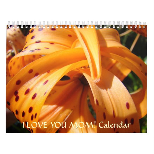 KERSTCADEAU MOEDER Kalender IK HOU VAN JE MOEDER! (Hoes)