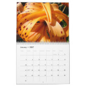 KERSTCADEAU MOEDER Kalender IK HOU VAN JE MOEDER! (Jan 2027)