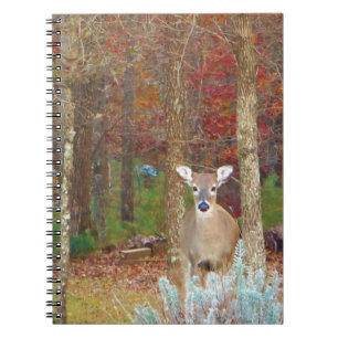 kerstcadeau notitieboek