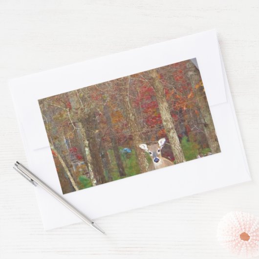 kerstcadeau rechthoekige sticker (Envelop)