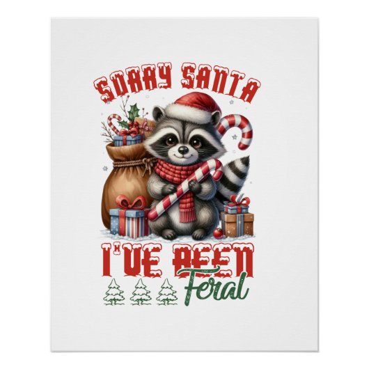 Kerstcadeau Sorry Sinterklaas Perfect Poster (Voorkant)
