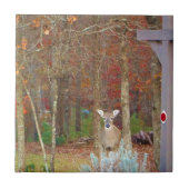 kerstcadeau tegeltje (Voorkant)