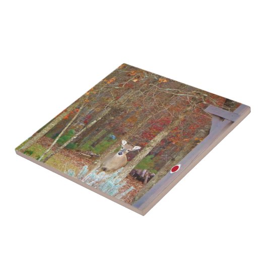 kerstcadeau tegeltje (Zijkant)