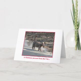 Kerstcadeau van de kat... feestdagen kaart