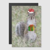 Kerstcadeau van Eekhoorn (Voorkant / Achterkant)