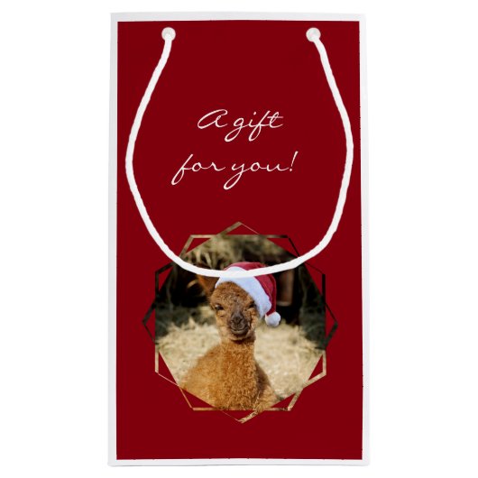 kerstcadeau voor Alpaca Gift Klein Cadeauzakje (Achterkant)