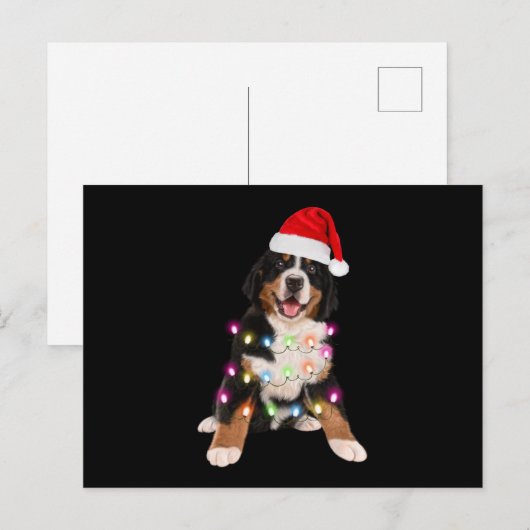 kerstcadeau voor bernese puppy ' s briefkaart (Voorkant / Achterkant)