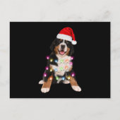 kerstcadeau voor bernese puppy ' s briefkaart (Voorkant)