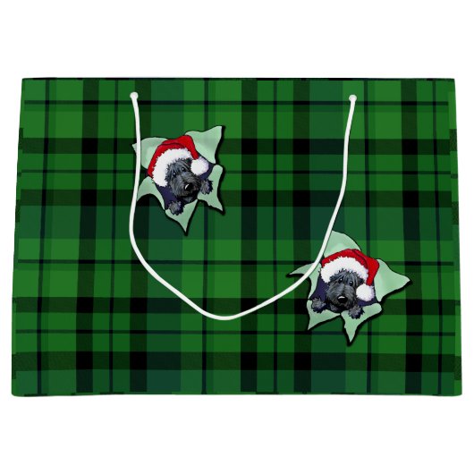 kerstcadeau voor BLAST Pset Gift Bag Groot Cadeauzakje (Voorkant)