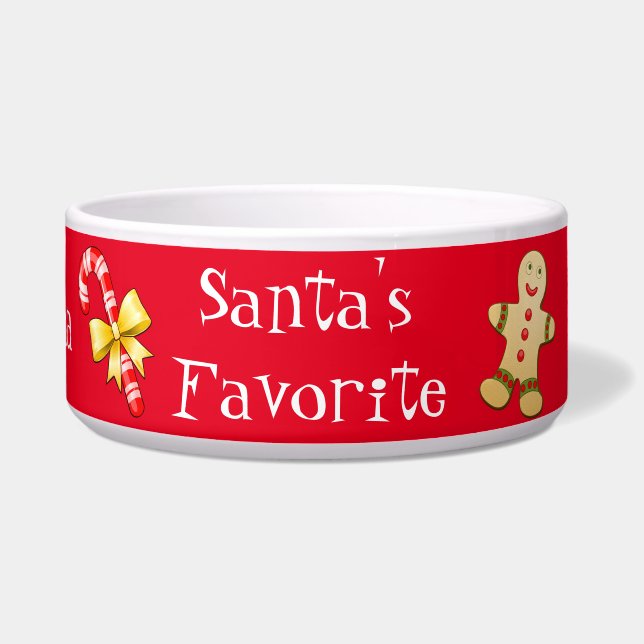 kerstcadeau voor cadeau voerbakje (Voorkant)