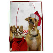 kerstcadeau voor Chihuahuas Medium Cadeauzakje (Voorkant)