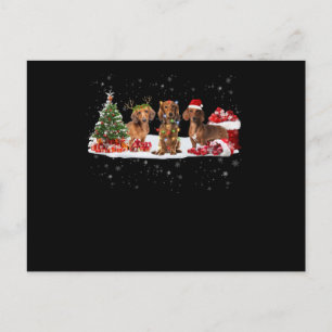 kerstcadeau voor dachshund - kerstverlichting voor briefkaart