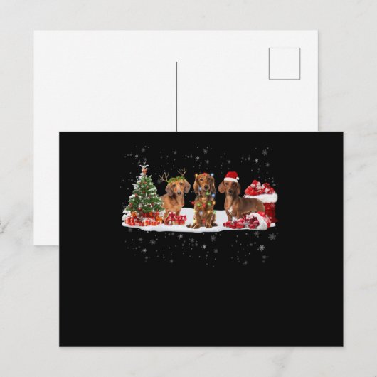 kerstcadeau voor dachshund - kerstverlichting voor briefkaart (Voorkant / Achterkant)