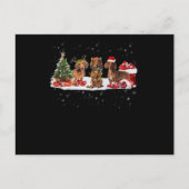 kerstcadeau voor dachshund - kerstverlichting voor briefkaart (Voorkant)
