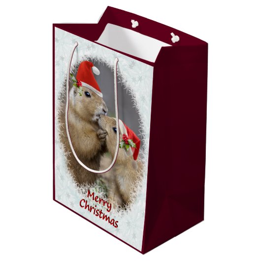 kerstcadeau voor gemiddeld cadeautje medium cadeauzakje (Achterkant Gekanteld)