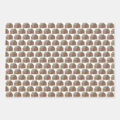 kerstcadeau voor juffrouw Koekjes Inpakpapier Vel (Voorkant 2)