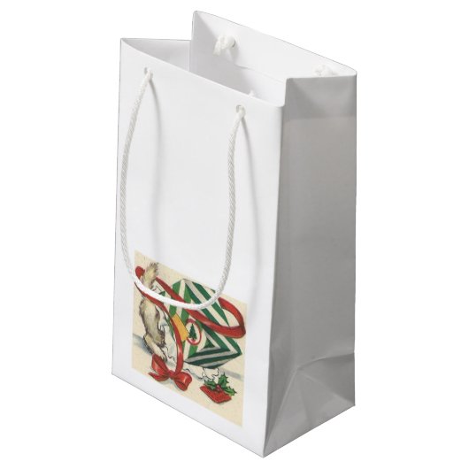 kerstcadeau voor Kitten Klein Cadeauzakje (Achterkant Gekanteld)